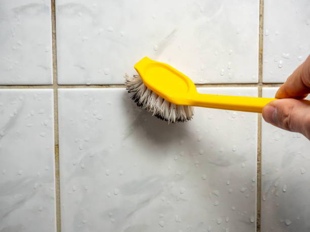 Professional Mold Removal in Central Point, OR
