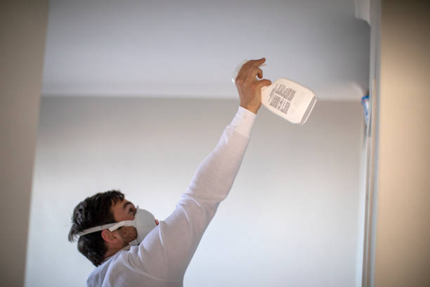Best Certified Mold Removal  in Central Point, OR