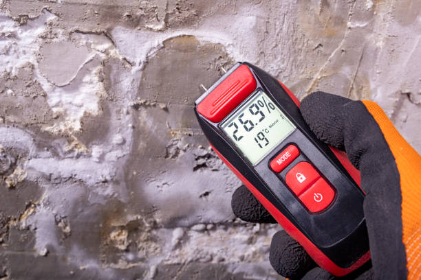 Best Mold Testing  in Central Point, OR