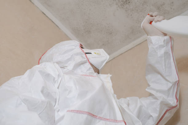 Certified Mold Removal in Central Point, OR