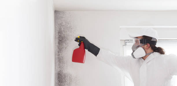 Best Professional Mold Removal  in Central Point, OR