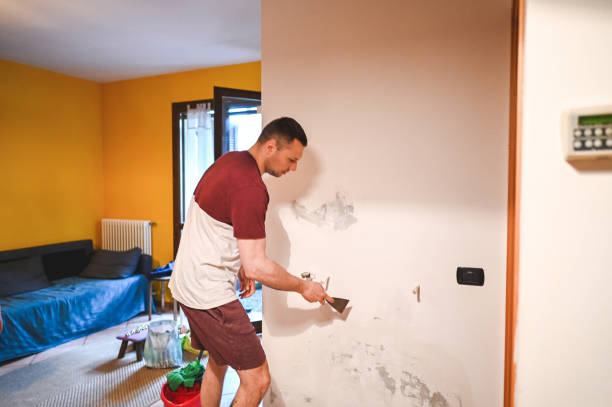 Best Mold Removal Company Near Me  in Central Point, OR